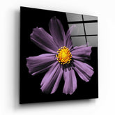 Pink Flower Glass Wall Art.
